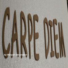 Decoratieve houten letter CARPE DIEM